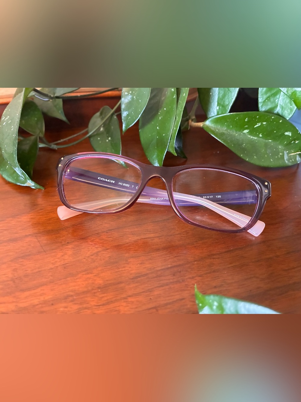 Coach Deep Purple Cat-Eye Optical Frames with Gold Accents